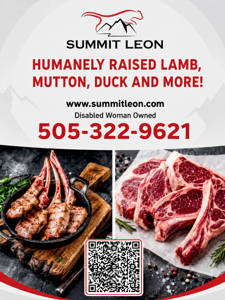Summit Leon advertisement